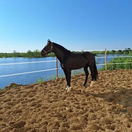 Stajnia Czahary Z Widokiem Na Jezioro * Pogorzelica (Gmina Rewal)